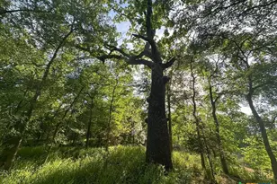 650 Co Rd 82, Gatesville, TX 76528 - Photo 23