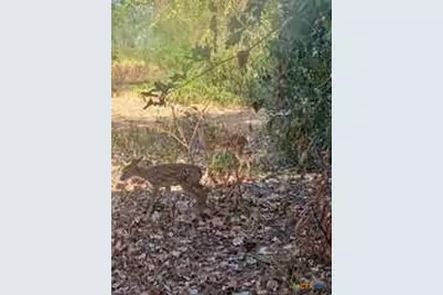 650 County Road 82, Gatesville, TX 76528 - Photo 27