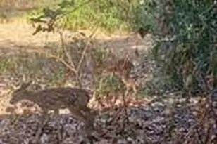 650 Co Rd 82, Gatesville, TX 76528 - Photo 27