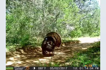 650 County Road 82, Gatesville, TX 76528 - Photo 25