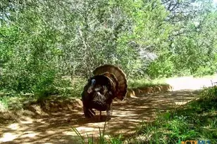 650 Co Rd 82, Gatesville, TX 76528 - Photo 25