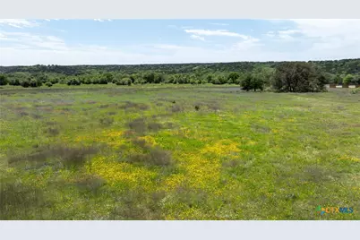 110 Yellowstone Drive, Oglesby, TX 76561 - Photo 1