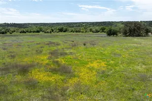 110 Yellowstone Dr, Oglesby, TX 76561 - Photo 1