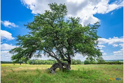 0000 Gibson-Best Road, Hye, TX 78635 - Photo 33