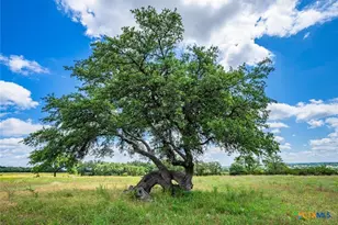 0000 Gibson-Best Rd, Hye, TX 78635 - Photo 33