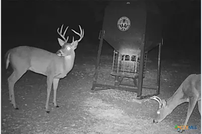 0000 Gibson-Best Road, Hye, TX 78635 - Photo 41