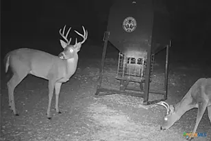 0000 Gibson-Best Rd, Hye, TX 78635 - Photo 41