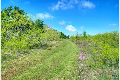 0000 County Road 463, Elgin, TX 78621 - Photo 31