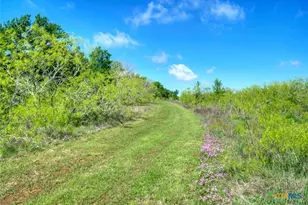 0000 County Road 463, Elgin, TX 78621 - Photo 31