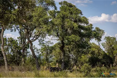 1772 Demi John Bend Road, Canyon Lake, TX 78133 - Photo 7