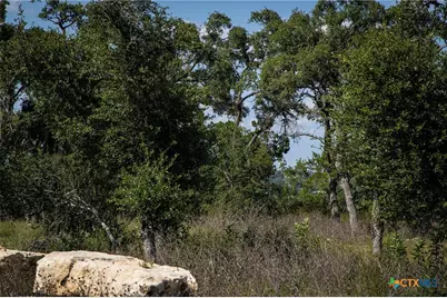 1772 Demi John Bend Road, Canyon Lake, TX 78133 - Photo 5