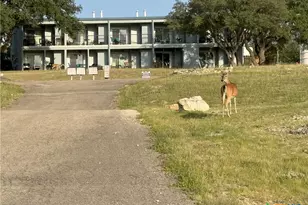 1033 Parkview Dr, Canyon Lake, TX 78133 - Photo 23