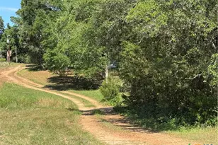 2183 Fm 3283, Hallettsville, TX 77964 - Photo 47