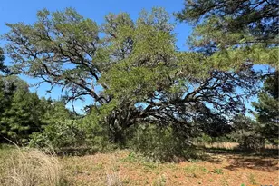 2183 Fm 3283, Hallettsville, TX 77964 - Photo 41