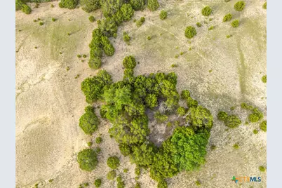 Tbd 21.5 Acres County Road 517, Evant, TX 76525 - Photo 29