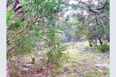 63 Cedar Trails Drive, Belton, TX 76513 - Photo 3