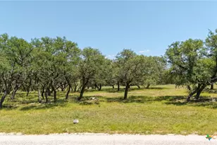 Lot 125 Red Stag Ct, Lampasas, TX 76550 - Photo 5