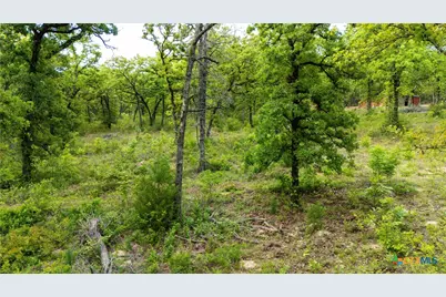 380 Private Road 6040, Cameron, TX 75620 - Photo 25