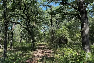 380 Private Road 6040, Cameron, TX 75620 - Photo 13