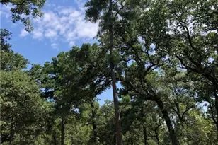 380 Private Road 6040, Cameron, TX 75620 - Photo 15