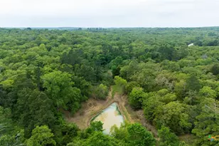 380 Private Road 6040, Cameron, TX 75620 - Photo 21