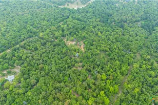 380 Private Road 6040, Cameron, TX 75620 - Photo 19