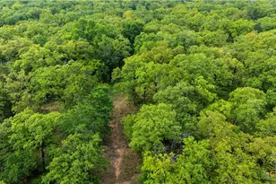 380 Private Road 6040, Cameron, TX 75620 - Photo 23