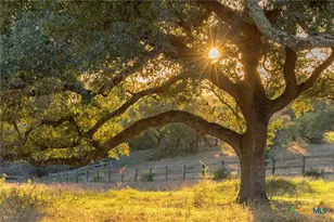 18700 Moreh Peak Pass, Austin, TX 78738 - Photo 19
