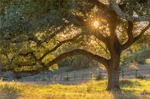 18700 Moreh Peak Pass, Austin, TX 78738 - Photo 9