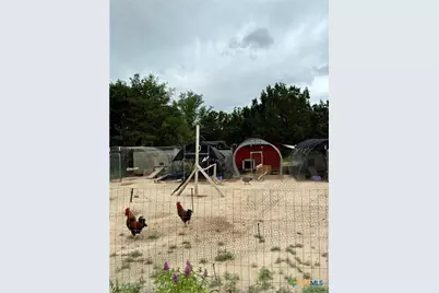 445 Beadle Road, Gatesville, TX 76528 - Photo 39