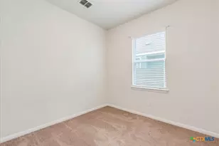 360 Spiny Lizard Ln, San Marcos, TX 78666 - Photo 15