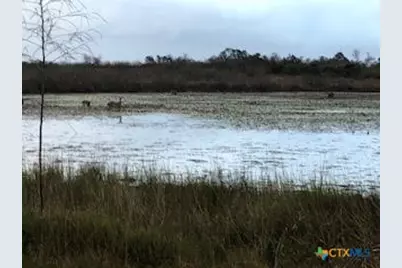 6902 N Highway 35 Highway, Rockport, TX 78382 - Photo 9