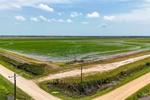 0 County Road 395, Louise, TX 77455 - Photo 7