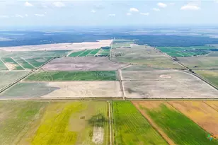 0 County Road 395, Louise, TX 77455 - Photo 5