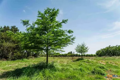 Tbd County Road 203, Burnet, TX 78611 - Photo 9