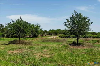 Tbd County Road 203, Burnet, TX 78611 - Photo 7