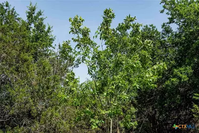 Tbd County Road 203, Burnet, TX 78611 - Photo 11