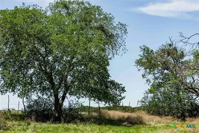 Tbd County Road 203, Burnet, TX 78611 - Photo 3