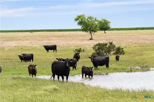 16160 Siler Rd, Moody, TX 76557 - Photo 9