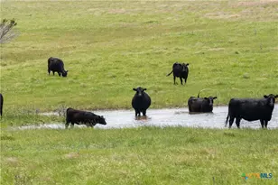 16160 Siler Rd, Moody, TX 76557 - Photo 7