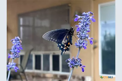 184 Guadalupe Hills Lane, Seguin, TX 78155 - Photo 27