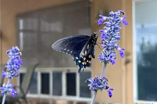 184 Guadalupe Hills Ln, Seguin, TX 78155 - Photo 27