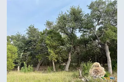 254 Flanders, Fischer, TX 78623 - Photo 1