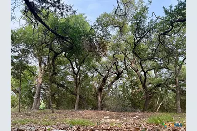 254 Flanders, Fischer, TX 78623 - Photo 3