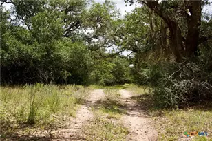 000 Fordtran Rd Tract 3, Thomaston, TX 77954 - Photo 19
