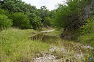 000 Fordtran Rd Tract 5, Thomaston, TX 77954 - Photo 39