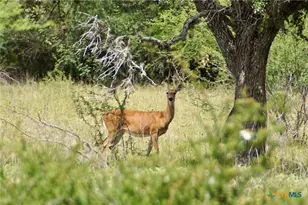 000 Fordtran Rd Tract 5, Thomaston, TX 77954 - Photo 25