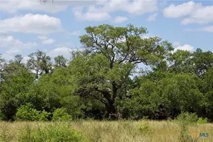 000 Fordtran Rd Tract 6, Thomaston, TX 77954 - Photo 7