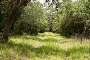 000 Fordtran Rd Tract 8, Thomaston, TX 77954 - Photo 21