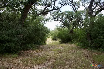 000 Fordtran Rd Tract 8, Thomaston, TX 77954 - Photo 11